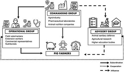 Waiting for markets to change me—High-stakeholders' views of antibiotic use and antibiotic resistance in pig production in Brazil